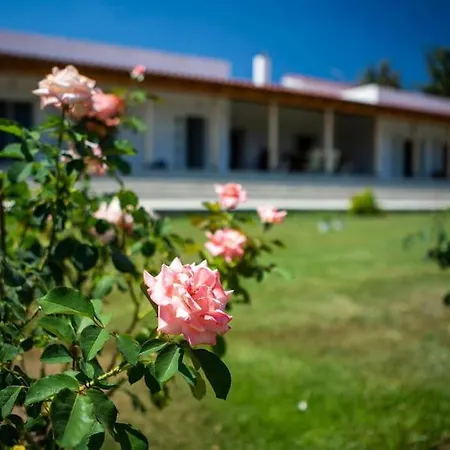 Blue Lagoon Estate, * Amarynthos