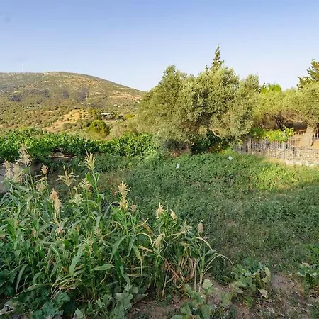 Blue Lagoon Estate, Villa Amarynthos